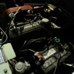 william-liu-YcfXusR1DQ8-unsplash